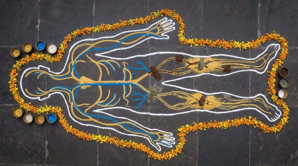 Body as flowing rivers and blocked channels — Srotas concept